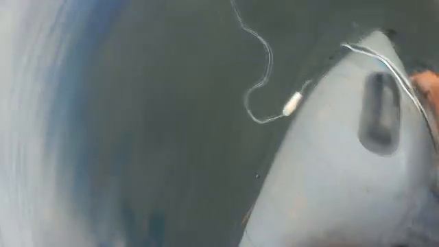 РЫБАЛКА СЕТЯМИ, РЫБАЛКА НА СЕТИ В ЯПОНСКОМ МОРЕ, Рыбалка на сети с  Fishermandv.27rus