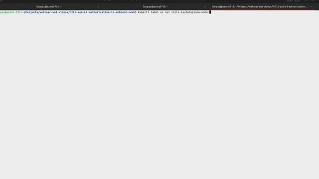 mTLS with ztunnel in Istio Ambient Mesh | ztunnel | Istio | Demo | IMESH смотреть онлайн