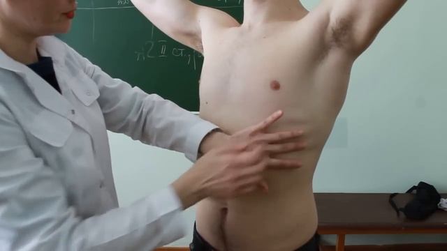 Сравнительная перкуссия легких смотреть онлайн