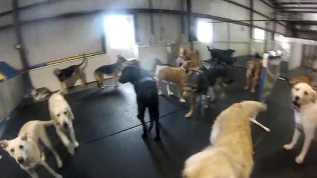 G PORTER смотреть онлайн