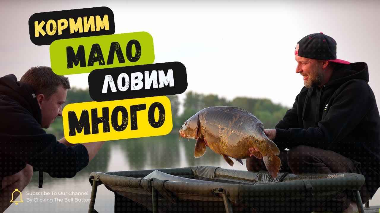 КОРМИМ МАЛО и ЛОВИМ МНОГО КАРПА? КАРПФИШИНГ в ТРАНЗИТНОМ СЕКТОРЕ! Соревнования - ЛИГА CARPTODAY!