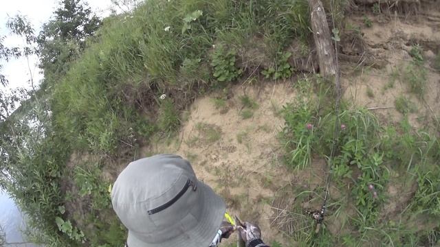 Щука с берега.Спиннинг,воблеры немного джига. Рыбалка в Архангельской области на реке Вага. смотреть онлайн