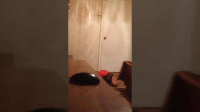 |Убойный танец от моей сестры-Арины| смотреть онлайн
