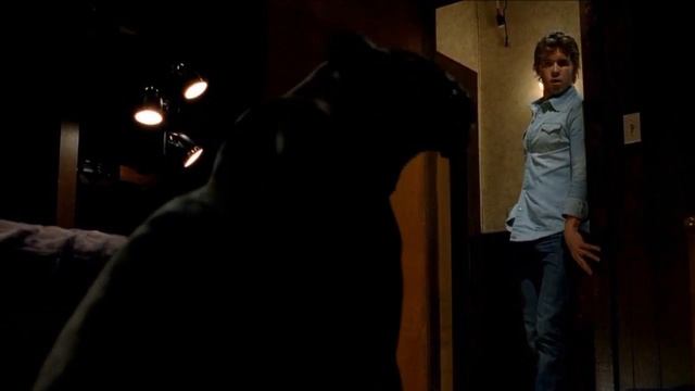 TF Woman Panther Demorph HD смотреть онлайн