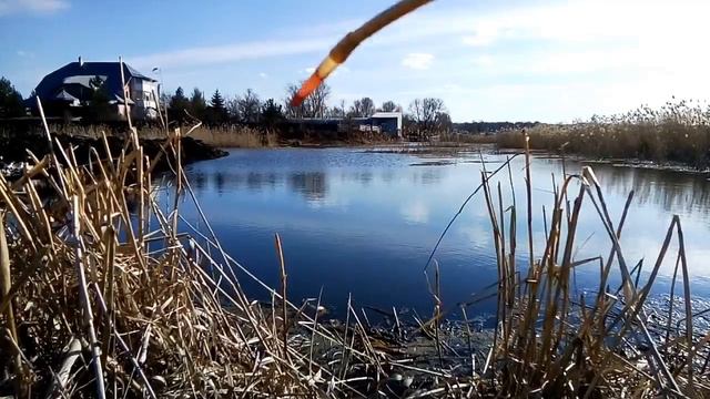 Простая Рыбалка Плотва .🐟 смотреть онлайн
