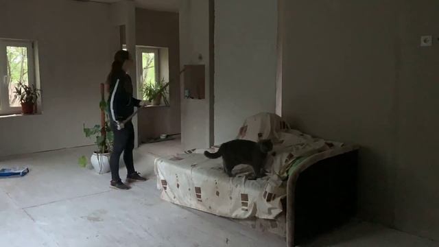 ПЧЁЛЫ ПОКУСАЛИ В ЛИЦО? ПРОДОЛЖАЕМ РЕМОНТ СТАРОГО ДОМА? смотреть онлайн