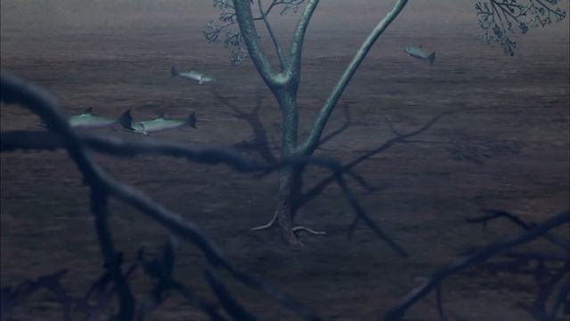 История жизни - Часть 1. Растения - безмолвные правители Земли - Документальный фильм смотреть онлайн