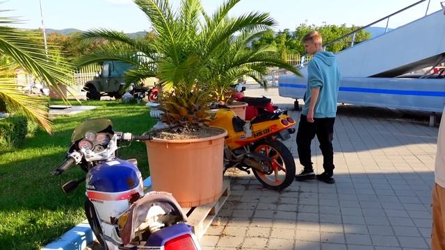 Мама делает нам уколы. СТРАШНАЯ реакция на укол...Мы ЗАБОЛЕЛИ по дороге на море. смотреть онлайн