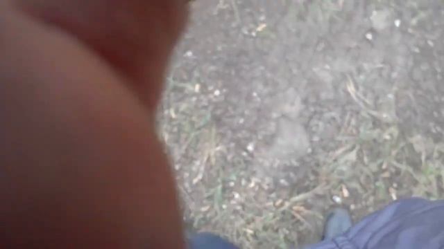 Магнит из голубей смотреть онлайн