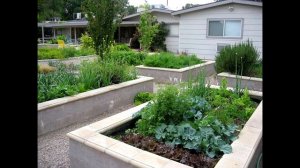 Оформление грядок.( Высокие грядки)