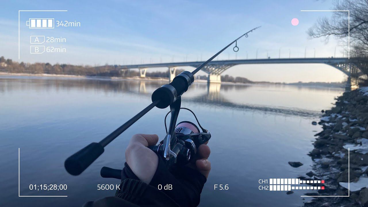 Favorite Black Swan Nano 652. Знакомство смотреть онлайн