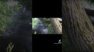 ШОК!!! Девушка 15 лет Утопила Котёнка.