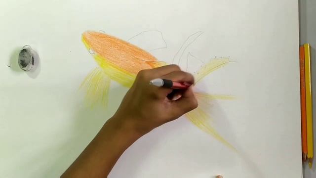 Fish sketch || fish sketch using color pencils || Fish Drawing смотреть онлайн