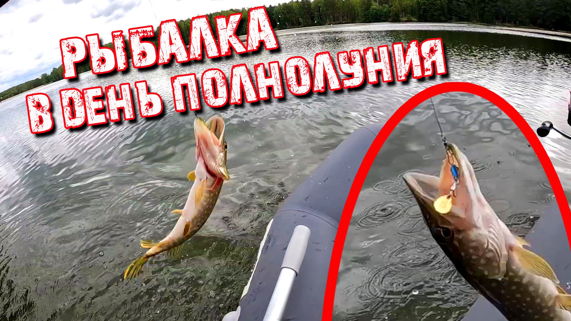 Рыбалка в полнолуние с лодки ПВХ. Щука на блесны вертушка и спиннер. Спиннинг KINGFISHER KAIDA 5-20. смотреть онлайн