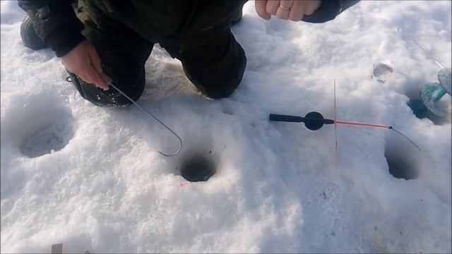 Ловля осетра и форели в Савельево-2 . Февраль 2017 года смотреть онлайн