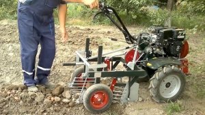 Экстремальная уборка картофеля грохотной копалкой .