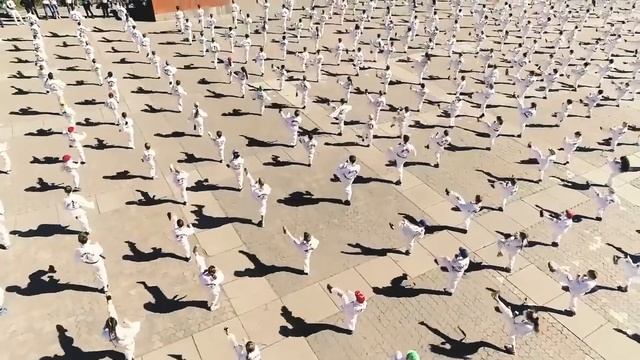 ITF Taekwondo vs Kyokushin смотреть онлайн