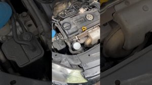 Троит двигатель САХА 1.4