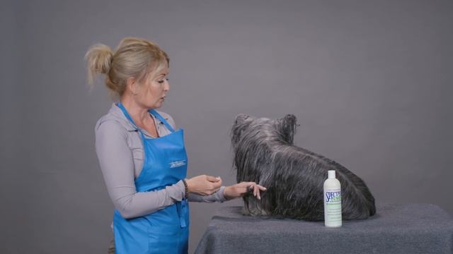 Chris Christensen Spectrum Ten Shampoo смотреть онлайн