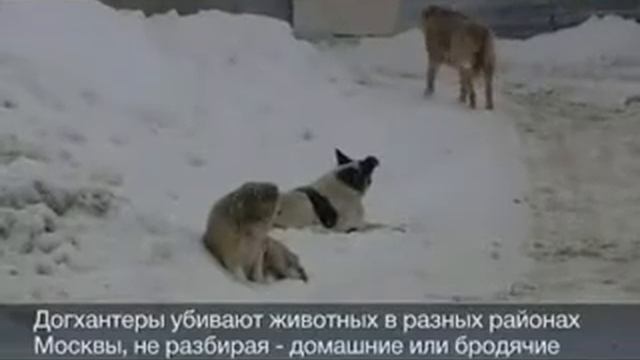 Об Александре Римском и Викторе Евсееве смотреть онлайн