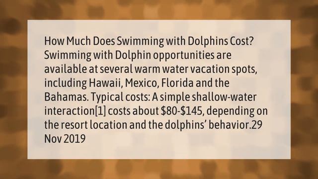 Where can you swim with wild dolphins in Florida? смотреть онлайн