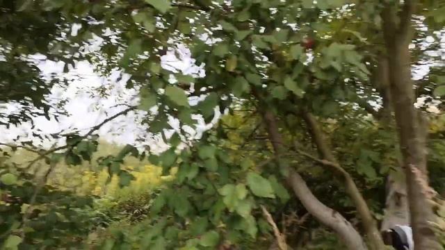 Поездка на дачу в понедельник. Короткий отчет смотреть онлайн