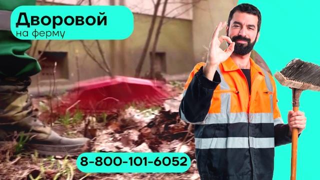 Вакансия дворовой на ферму дворник хорошая зарплата
