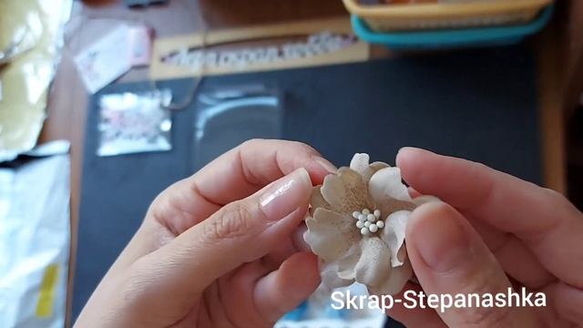 Цветы ручной работы. Обзор выйгрыша. Скрапбукинг.