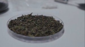 ЭТО СРЕДСТВО УБЕРЕТ СЕДИНУ НАВСЕГДА. Как УБРАТЬ СЕДИНУ без ОКРАШИВАНИЯ! Домашнее средство от седины