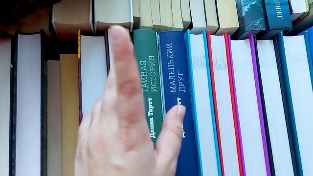 Все мои книги НЕпрочитанные ? все мои 206 КНИГ смотреть онлайн
