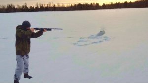 ПРИВЯЗАННЫЙ ЗАЯЦ * ПО ЗАЙЦУ ОЧЕРЕДЯМИ * ОХОТА НА ЗАЙЦА С ДРУГОМ