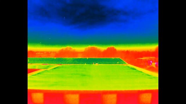 Mavic 2EA thermal birds смотреть онлайн