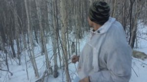 Охота на кабана с Барс 4-1 223рем.