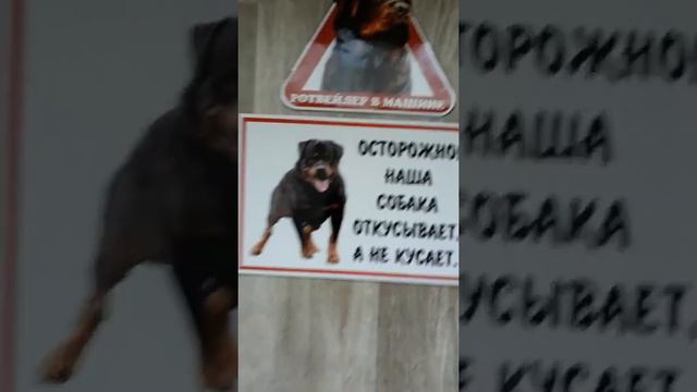 Ротвейлер, Доберман (наклейки и табличка) смотреть онлайн