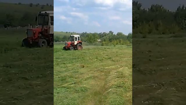 косим сено т 25 . смотреть онлайн