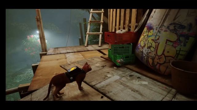 ПРОДОЛЖЕНИЕ STRAY СКОРО БУДЕТ АНОНСИРОВАНО?! смотреть онлайн