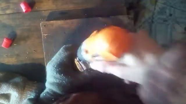 походная горелка своими руками смотреть онлайн