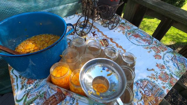 Money Tight Meal Using Food Scraps // Long Term (Canning Garlic too) смотреть онлайн