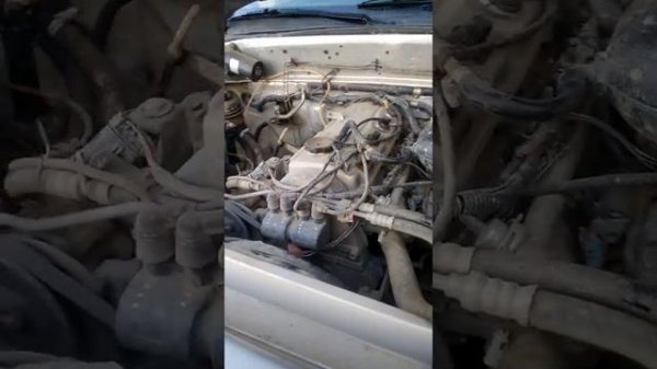 Обзор дервэйс аврора