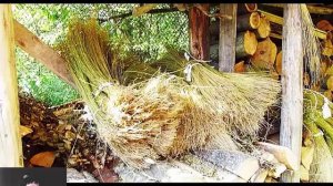 Выращивание и обработка льна. Пряжа лен. Кудель. Волокна льна. Все из крапивы.