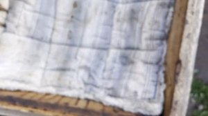 Технология обработки пчёл амитразой