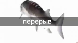 Реакция ПВЛ из 12 века на тик ток. |AU| скорость на 0,5 -0,75.