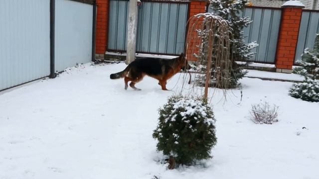 КИНО И НЕМЦЫ!!!