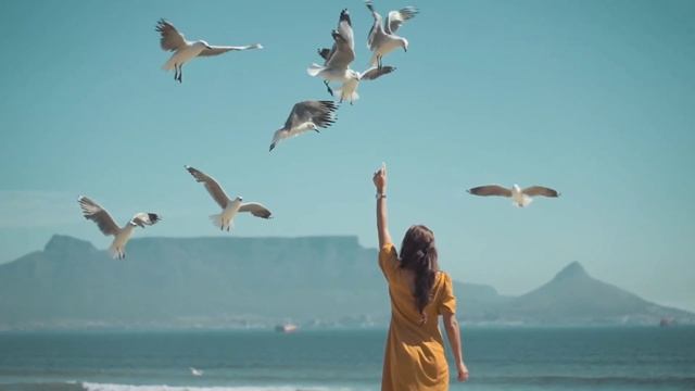 Beautiful relaxing music, lounge music 2023 смотреть онлайн