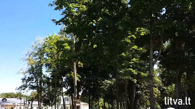 Прогулка по Друскининкай (Литва) на электроскуторе | LITVA.LT