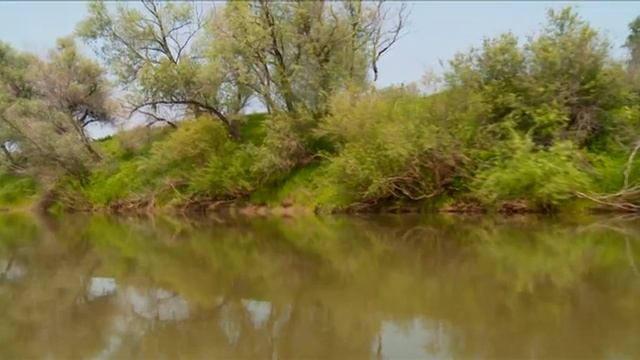 КАЗАНСКИЙ СПЛАВ смотреть онлайн