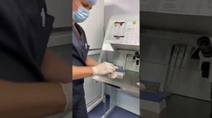 Как проходит оплодотворение методом ИКСИ?