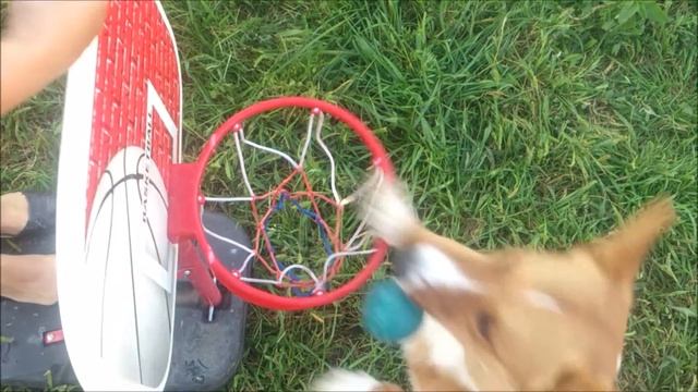 первый баскетболист на деревне смотреть онлайн