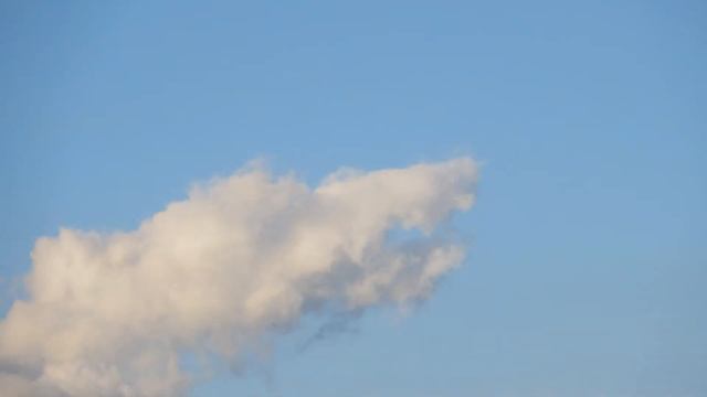 ДАЧА. ОБЛАКО ГОЛОВА ВОЛКА. 23.08.2018. смотреть онлайн