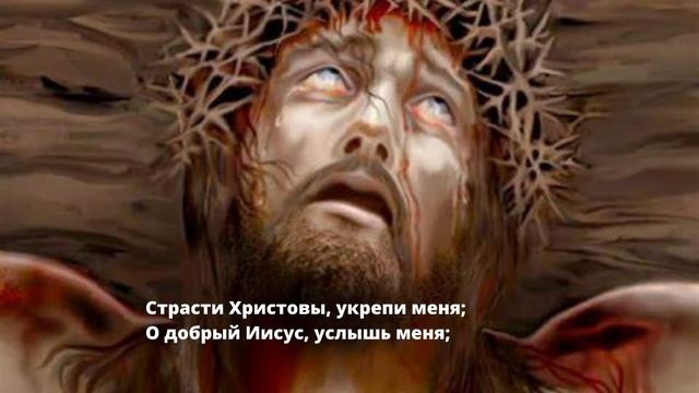 Анима Кристи смотреть онлайн